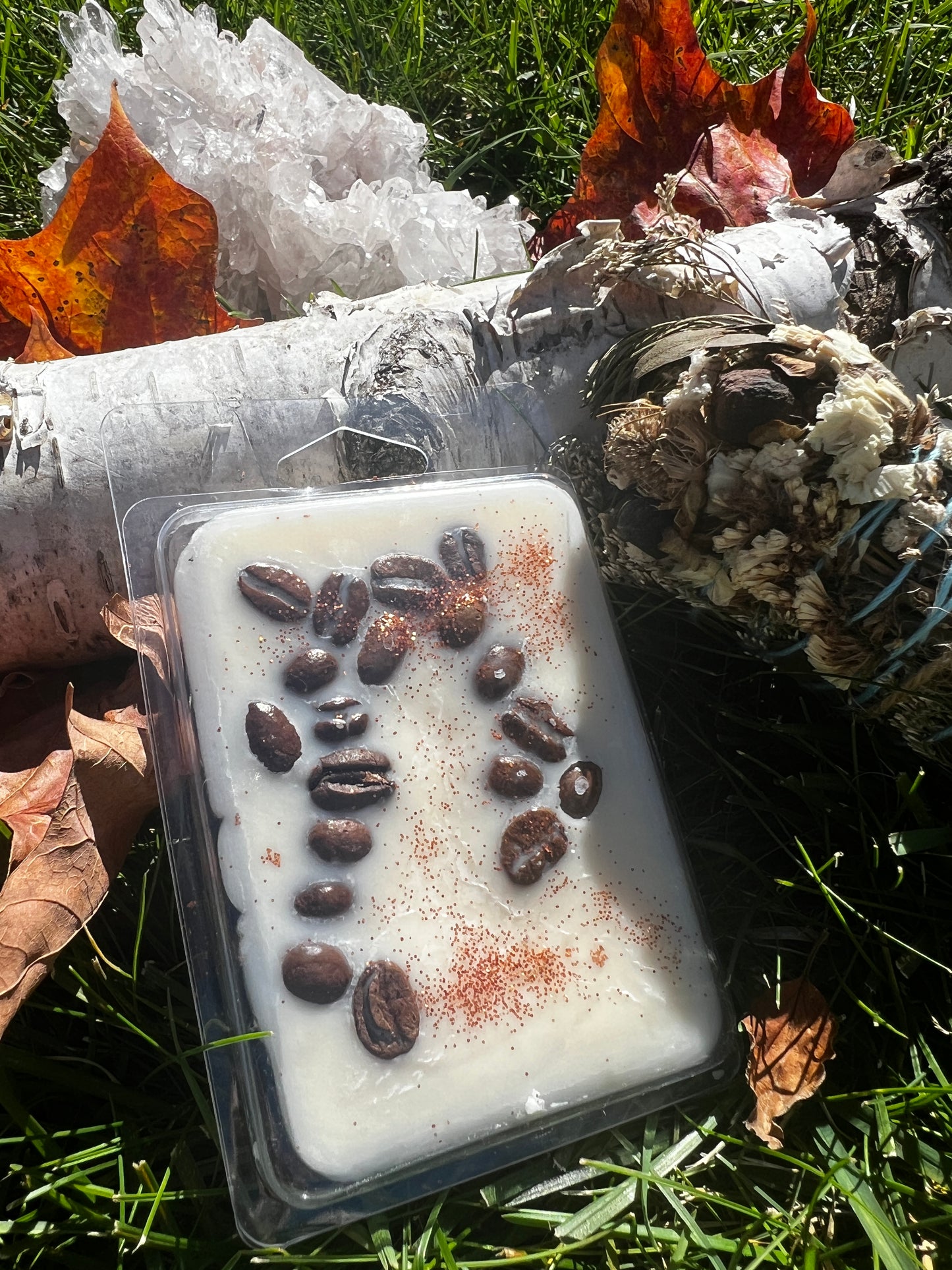 Wax Melts