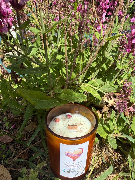 Big Hearts Charity Soy Candle
