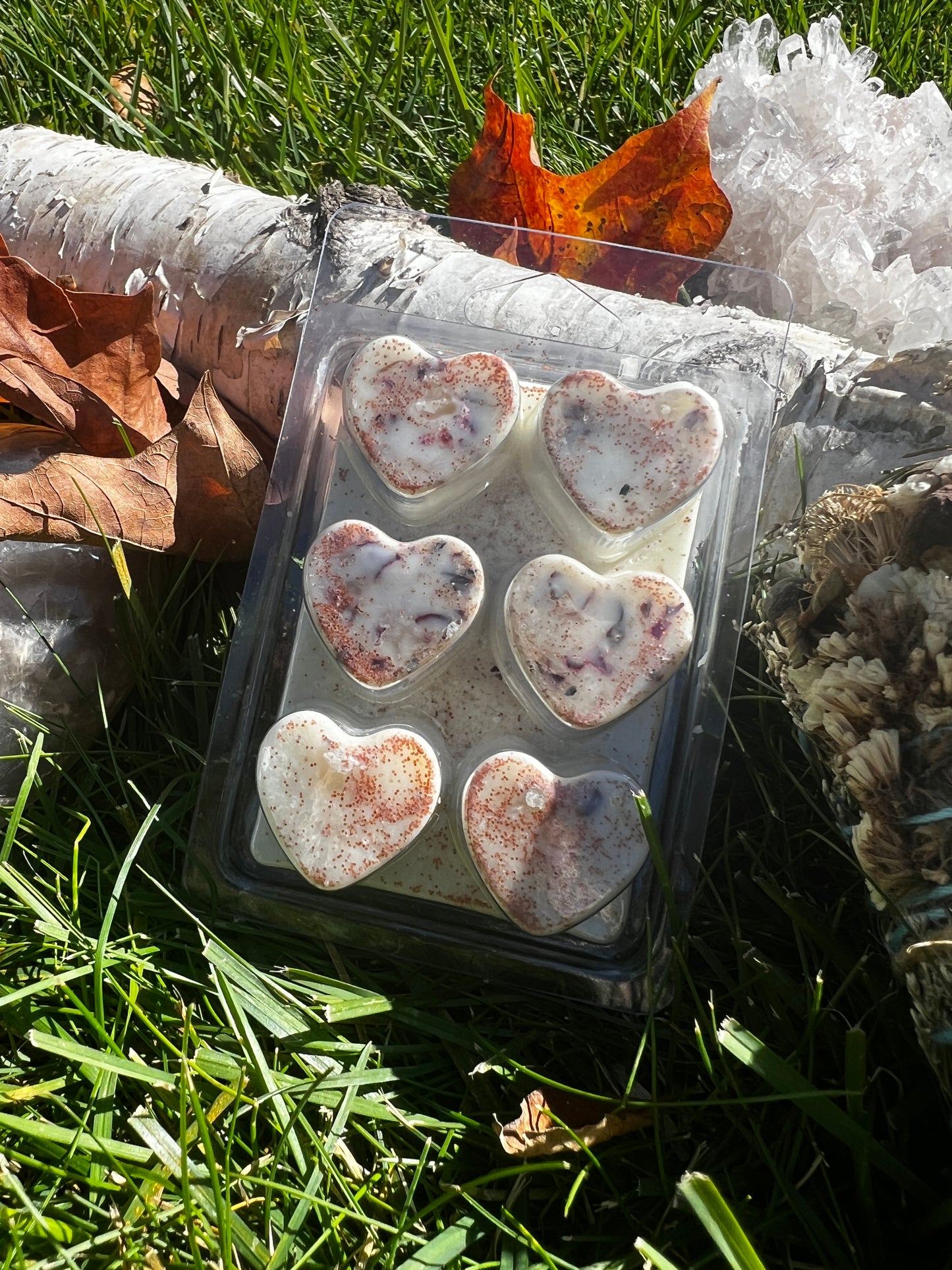 Wax Melts